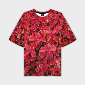 Мужская футболка oversize 3D с принтом Растение Колеус в Курске,  |  | 