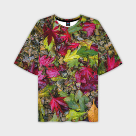 Мужская футболка oversize 3D с принтом Осенние листья разноцветные в Санкт-Петербурге,  |  | 