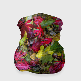 Бандана-труба 3D с принтом Осенние листья разноцветные , 100% полиэстер, ткань с особыми свойствами — Activecool | плотность 150‒180 г/м2; хорошо тянется, но сохраняет форму | 