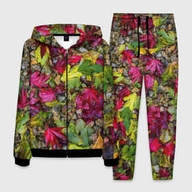 Мужской костюм 3D с принтом Осенние листья разноцветные в Кировске, 100% полиэстер | Манжеты и пояс оформлены тканевой резинкой, двухслойный капюшон со шнурком для регулировки, карманы спереди | 