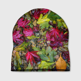 Шапка 3D с принтом Осенние листья разноцветные в Курске, 100% полиэстер | универсальный размер, печать по всей поверхности изделия | 