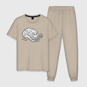 Мужская пижама хлопок с принтом Мозг осьминога в Белгороде, 100% хлопок | брюки и футболка прямого кроя, без карманов, на брюках мягкая резинка на поясе и по низу штанин
 | Тематика изображения на принте: 