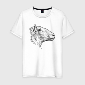 Мужская футболка хлопок с принтом Овца в профиль в Кировске, 100% хлопок | прямой крой, круглый вырез горловины, длина до линии бедер, слегка спущенное плечо. | 