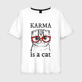 Мужская футболка хлопок Oversize с принтом Карма кота в Новосибирске, 100% хлопок | свободный крой, круглый ворот, “спинка” длиннее передней части | 