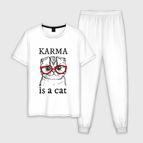 Мужская пижама хлопок с принтом Карма кота в Курске, 100% хлопок | брюки и футболка прямого кроя, без карманов, на брюках мягкая резинка на поясе и по низу штанин
 | 
