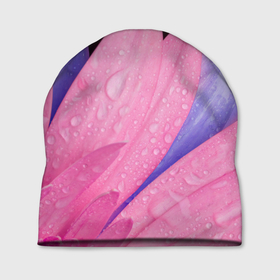 Шапка 3D с принтом Розовые и сиреневые лепестки цветов , 100% полиэстер | универсальный размер, печать по всей поверхности изделия | Тематика изображения на принте: 