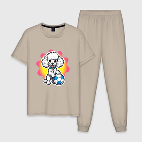 Мужская пижама хлопок с принтом Пудель и футбольный мяч в Кировске, 100% хлопок | брюки и футболка прямого кроя, без карманов, на брюках мягкая резинка на поясе и по низу штанин
 | 