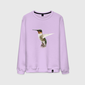 Мужской свитшот хлопок с принтом Рубиновогорлый колибри в Курске, 100% хлопок |  | 