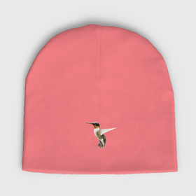 Мужская шапка демисезонная с принтом Рубиновогорлый колибри в Петрозаводске,  |  | Тематика изображения на принте: 