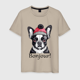 Мужская футболка хлопок с принтом Собака породы французский бульдог в шапке в Белгороде, 100% хлопок | прямой крой, круглый вырез горловины, длина до линии бедер, слегка спущенное плечо. | 