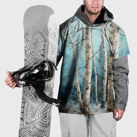 Накидка на куртку 3D с принтом Зимние берёзки в Тюмени, 100% полиэстер |  | 