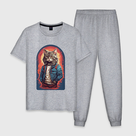 Мужская пижама хлопок с принтом Стильный кот в Курске, 100% хлопок | брюки и футболка прямого кроя, без карманов, на брюках мягкая резинка на поясе и по низу штанин
 | 