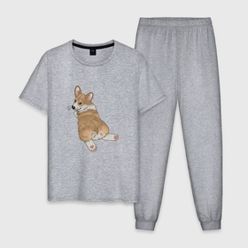 Мужская пижама хлопок с принтом Милый пушистый корги , 100% хлопок | брюки и футболка прямого кроя, без карманов, на брюках мягкая резинка на поясе и по низу штанин
 | 
