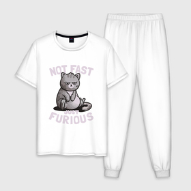 Мужская пижама хлопок с принтом Кот в полоску серый в Тюмени, 100% хлопок | брюки и футболка прямого кроя, без карманов, на брюках мягкая резинка на поясе и по низу штанин
 | 