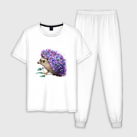 Мужская пижама хлопок с принтом Сиреневый ежик в Кировске, 100% хлопок | брюки и футболка прямого кроя, без карманов, на брюках мягкая резинка на поясе и по низу штанин
 | 