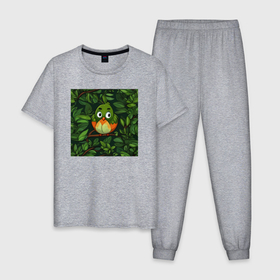 Мужская пижама хлопок с принтом Птичка в на дереве в Курске, 100% хлопок | брюки и футболка прямого кроя, без карманов, на брюках мягкая резинка на поясе и по низу штанин
 | 