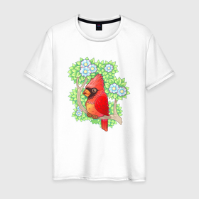 Мужская футболка хлопок с принтом Красный кардинал на ветке в Екатеринбурге, 100% хлопок | прямой крой, круглый вырез горловины, длина до линии бедер, слегка спущенное плечо. | 
