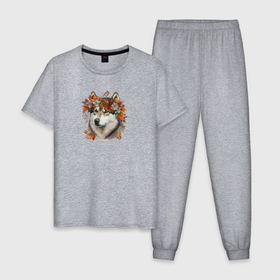 Мужская пижама хлопок с принтом Маламут осенний арт , 100% хлопок | брюки и футболка прямого кроя, без карманов, на брюках мягкая резинка на поясе и по низу штанин
 | 