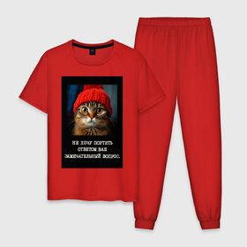 Мужская пижама хлопок с принтом Мем котик в шапочке: не хочу портить ответом ваш вопрос в Тюмени, 100% хлопок | брюки и футболка прямого кроя, без карманов, на брюках мягкая резинка на поясе и по низу штанин
 | 