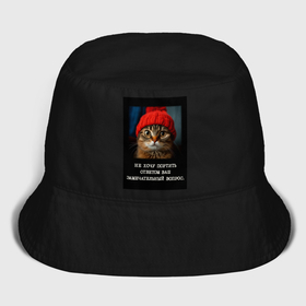 Мужская панама хлопок с принтом Мем котик в шапочке: не хочу портить ответом ваш вопрос в Тюмени,  |  | 