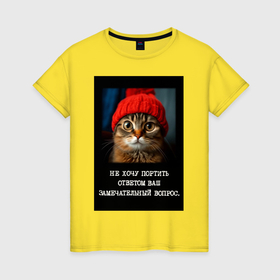 Женская футболка хлопок с принтом Мем котик в шапочке: не хочу портить ответом ваш вопрос в Новосибирске, 100% хлопок | прямой крой, круглый вырез горловины, длина до линии бедер, слегка спущенное плечо | 