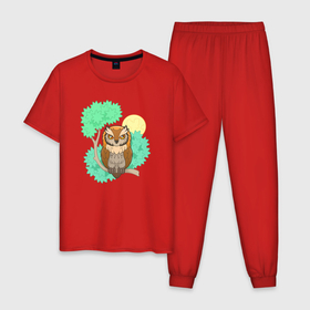 Мужская пижама хлопок с принтом Милая маленькая сова в Петрозаводске, 100% хлопок | брюки и футболка прямого кроя, без карманов, на брюках мягкая резинка на поясе и по низу штанин
 | 