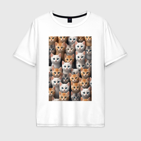 Мужская футболка хлопок Oversize с принтом Очумелые котята в Курске, 100% хлопок | свободный крой, круглый ворот, “спинка” длиннее передней части | Тематика изображения на принте: 