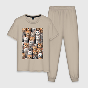 Мужская пижама хлопок с принтом Очумелые котята , 100% хлопок | брюки и футболка прямого кроя, без карманов, на брюках мягкая резинка на поясе и по низу штанин
 | 