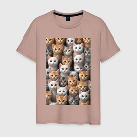 Мужская футболка хлопок с принтом Очумелые котята в Курске, 100% хлопок | прямой крой, круглый вырез горловины, длина до линии бедер, слегка спущенное плечо. | 