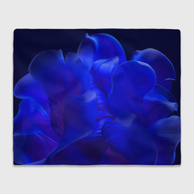 Плед 3D с принтом Неоновый синий цветок в Петрозаводске, 100% полиэстер | закругленные углы, все края обработаны. Ткань не мнется и не растягивается | 