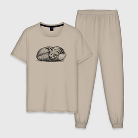 Мужская пижама хлопок с принтом Лиса спит в Кировске, 100% хлопок | брюки и футболка прямого кроя, без карманов, на брюках мягкая резинка на поясе и по низу штанин
 | Тематика изображения на принте: 