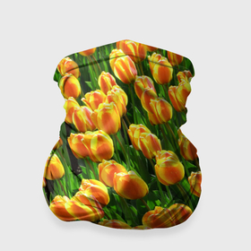 Бандана-труба 3D с принтом Желто оранжевые тюльпаны в Петрозаводске, 100% полиэстер, ткань с особыми свойствами — Activecool | плотность 150‒180 г/м2; хорошо тянется, но сохраняет форму | Тематика изображения на принте: 