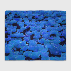 Плед 3D с принтом Фантастические синие цветы в Санкт-Петербурге, 100% полиэстер | закругленные углы, все края обработаны. Ткань не мнется и не растягивается | Тематика изображения на принте: 