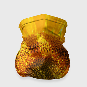 Бандана-труба 3D с принтом Большой подсолнечник в Санкт-Петербурге, 100% полиэстер, ткань с особыми свойствами — Activecool | плотность 150‒180 г/м2; хорошо тянется, но сохраняет форму | 
