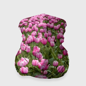 Бандана-труба 3D с принтом Поле цветов   розовых тюльпанов в Кировске, 100% полиэстер, ткань с особыми свойствами — Activecool | плотность 150‒180 г/м2; хорошо тянется, но сохраняет форму | 