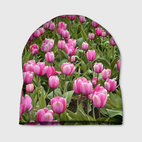 Шапка 3D с принтом Поле цветов   розовых тюльпанов в Белгороде, 100% полиэстер | универсальный размер, печать по всей поверхности изделия | 