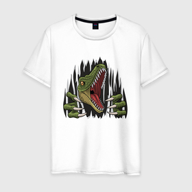 Мужская футболка хлопок с принтом Динозавр разрывает одежду , 100% хлопок | прямой крой, круглый вырез горловины, длина до линии бедер, слегка спущенное плечо. | 