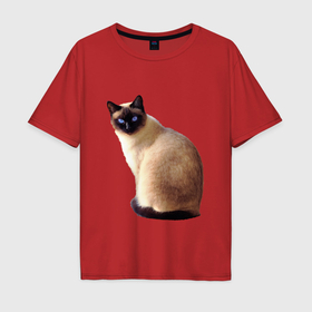 Мужская футболка хлопок Oversize с принтом Настоящая сиамская кошка в Курске, 100% хлопок | свободный крой, круглый ворот, “спинка” длиннее передней части | 