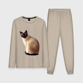 Мужская пижама с лонгсливом хлопок с принтом Настоящая сиамская кошка в Курске,  |  | 