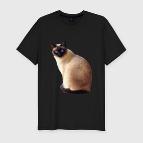 Мужская футболка хлопок Slim с принтом Настоящая сиамская кошка в Курске, 92% хлопок, 8% лайкра | приталенный силуэт, круглый вырез ворота, длина до линии бедра, короткий рукав | 