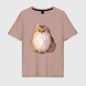 Мужская футболка хлопок Oversize с принтом Пушистая кошка с зелеными глазами в Екатеринбурге, 100% хлопок | свободный крой, круглый ворот, “спинка” длиннее передней части | 