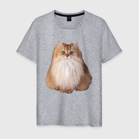Мужская футболка хлопок с принтом Пушистая кошка с зелеными глазами , 100% хлопок | прямой крой, круглый вырез горловины, длина до линии бедер, слегка спущенное плечо. | 
