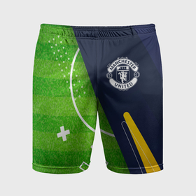 Мужские шорты спортивные с принтом Manchester United football field в Тюмени,  |  | Тематика изображения на принте: 
