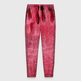 Мужские брюки 3D с принтом Срез арбуза в Тюмени, 100% полиэстер | манжеты по низу, эластичный пояс регулируется шнурком, по бокам два кармана без застежек, внутренняя часть кармана из мелкой сетки | 