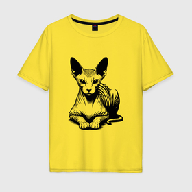 Мужская футболка хлопок Oversize с принтом Лысый кот сфинкс в Тюмени, 100% хлопок | свободный крой, круглый ворот, “спинка” длиннее передней части | Тематика изображения на принте: 