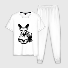 Мужская пижама хлопок с принтом Лысый кот сфинкс в Белгороде, 100% хлопок | брюки и футболка прямого кроя, без карманов, на брюках мягкая резинка на поясе и по низу штанин
 | Тематика изображения на принте: 