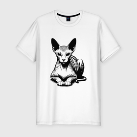 Мужская футболка хлопок Slim с принтом Лысый кот сфинкс в Екатеринбурге, 92% хлопок, 8% лайкра | приталенный силуэт, круглый вырез ворота, длина до линии бедра, короткий рукав | Тематика изображения на принте: 