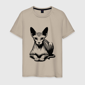 Мужская футболка хлопок с принтом Лысый кот сфинкс в Белгороде, 100% хлопок | прямой крой, круглый вырез горловины, длина до линии бедер, слегка спущенное плечо. | Тематика изображения на принте: 