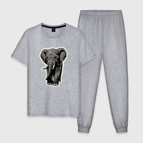 Мужская пижама хлопок с принтом Большой африканский слон в Санкт-Петербурге, 100% хлопок | брюки и футболка прямого кроя, без карманов, на брюках мягкая резинка на поясе и по низу штанин
 | 