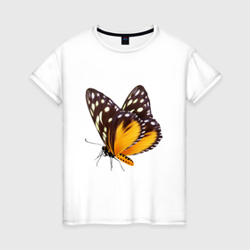Женская футболка хлопок с принтом Настоящая бабочка оранжево коричневая в Петрозаводске, 100% хлопок | прямой крой, круглый вырез горловины, длина до линии бедер, слегка спущенное плечо | 